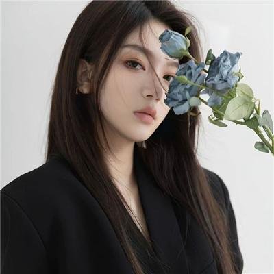好莱坞以北
